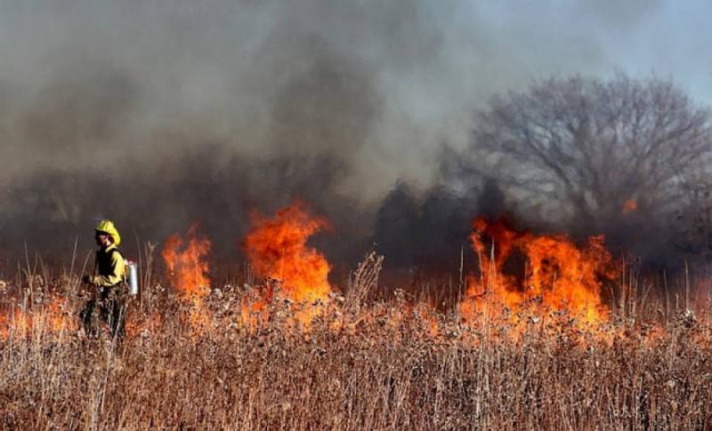 Zdjęcie: Apel w sprawie wypalania traw na terenie Gminy ...