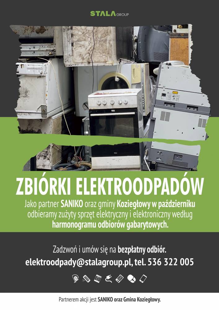 Zdjęcie: Zbiórka odpadów elektrycznych i elektronicznych