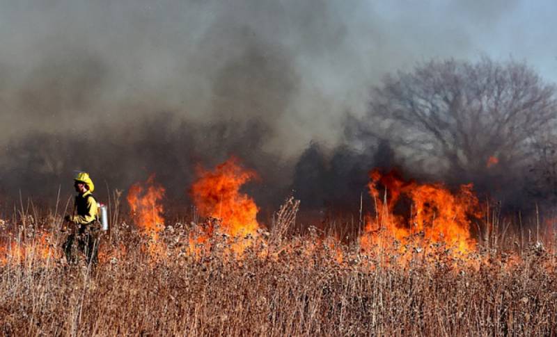 Zdjęcie: ARiMR przypomina: wypalanie traw jest karalne